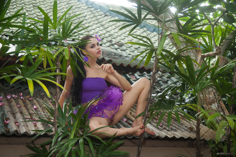 Tropical Beauty 03