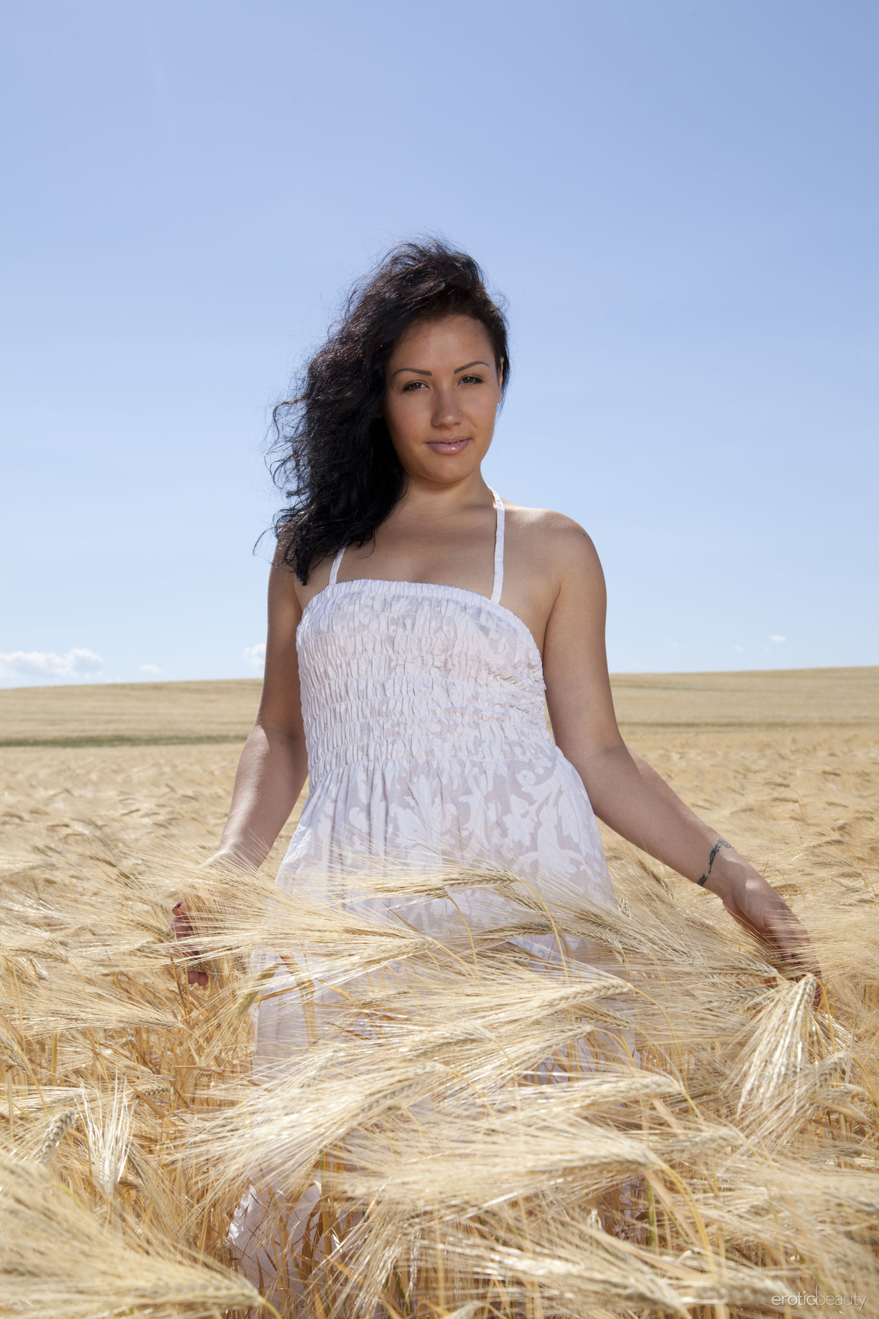 Yellow Field 00