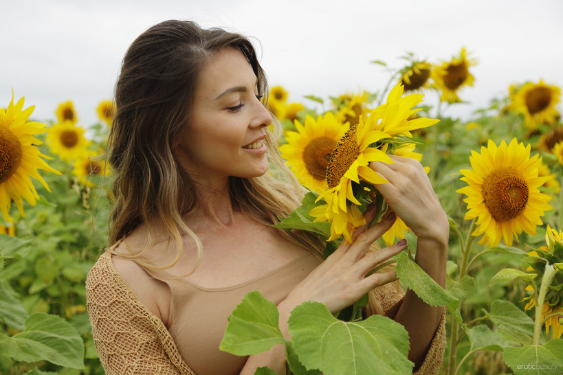Sunflower Treats 01