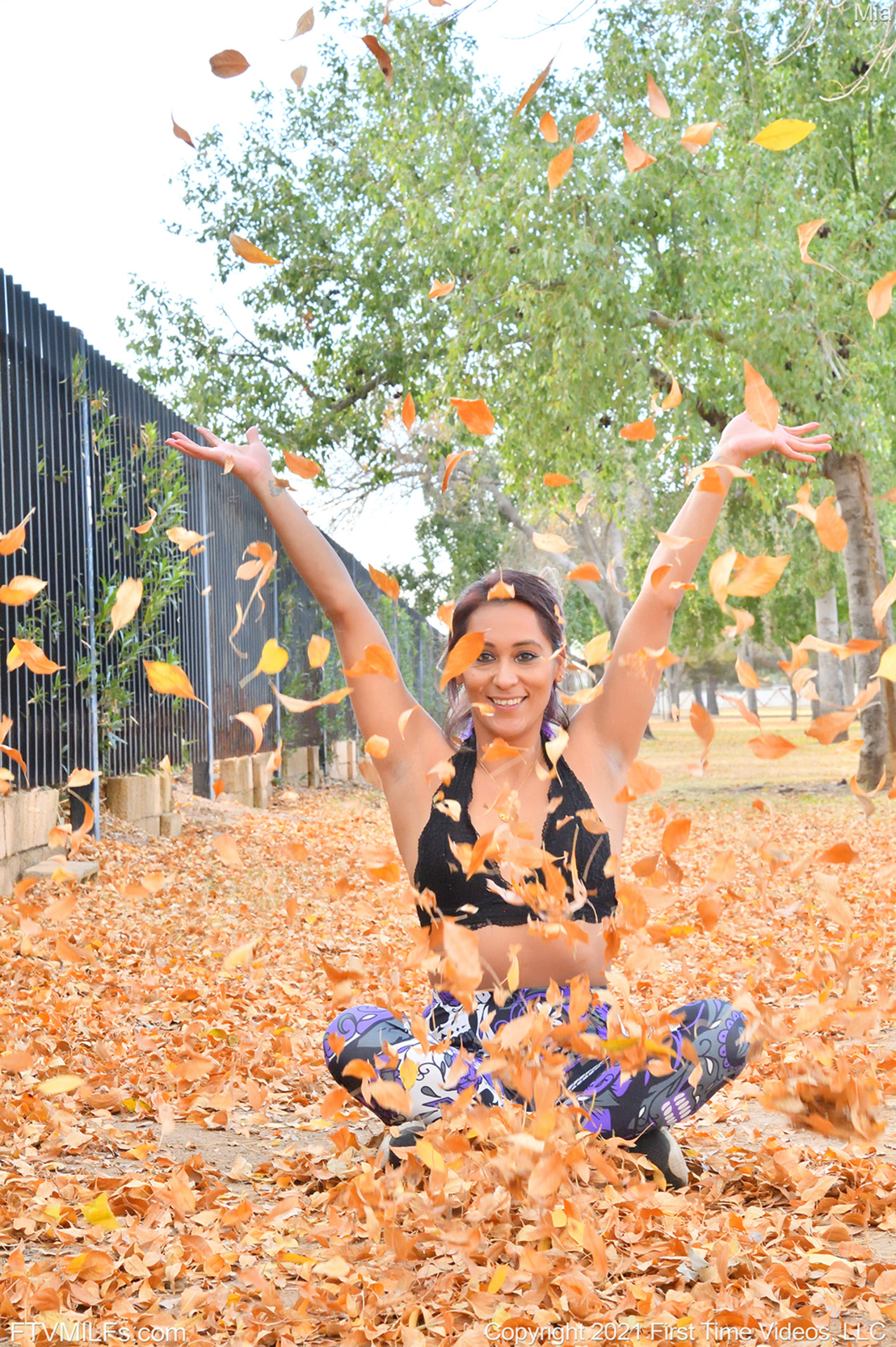 A Carpet Of Leaves 13