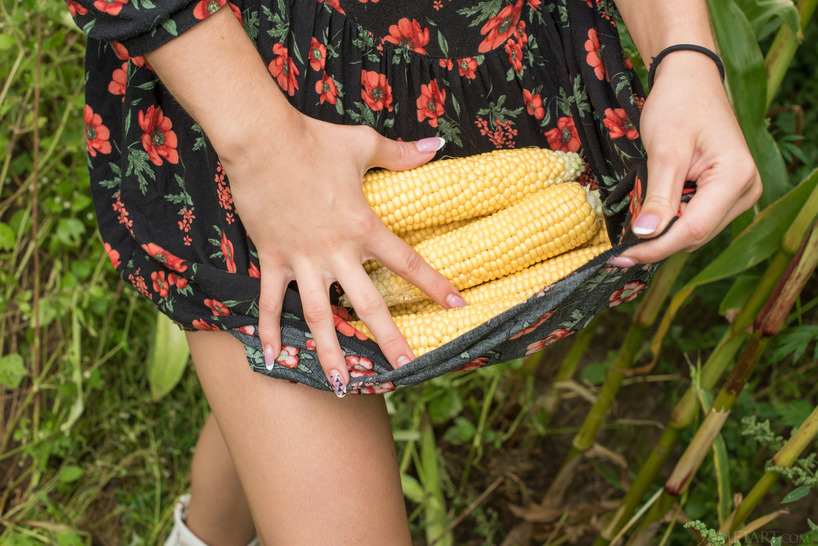 Farm Girl 00