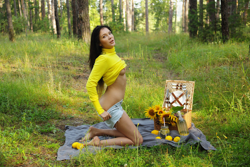 Sunflower 04